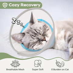 Joypig Cone Soft – adaptation douce lors des premiers essais avec le chat.