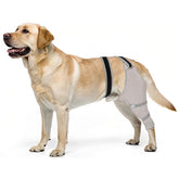 Joypig manchon patte arrière chien gris protège les plaies et évite les léchages.