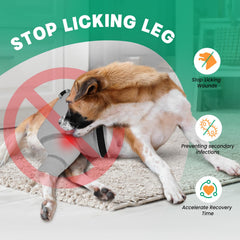 Joypig, protection post-op pour patte arrière, maintien fiable pour chien.