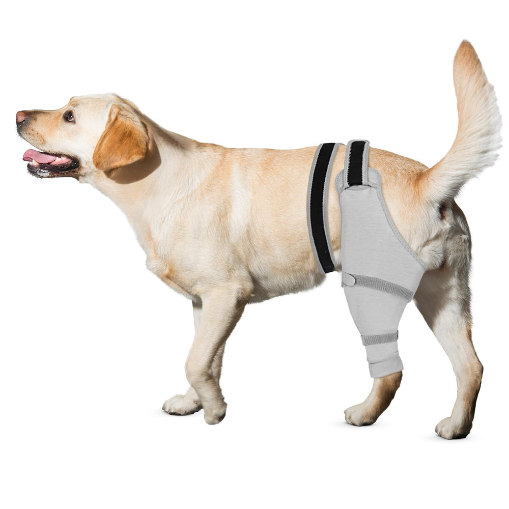 Joypig manche patte arrière droite gris protège les plaies et soutient la récupération.