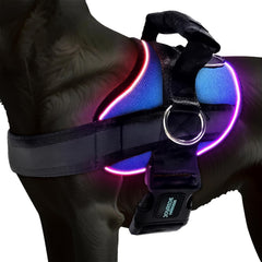 Joyride Harness montre la lumière LED mode solide pour une visibilité nocturne accrue