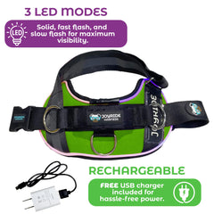 Joyride Harness modes d’éclairage solides, rapides et lents pour une visibilité adaptée.