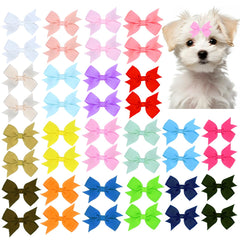 JUCCPUL noeud-poil chien bleu, idéal pour assortir les tenues et prendre des photos