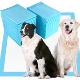 JunyuHu tapis pour chiots grand-format 36x36, absorption rapide pour un séjour propre.