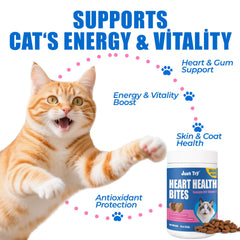 Just Try bouchées coenzyme Q10 chat taurine, soutien cardio potentiel.