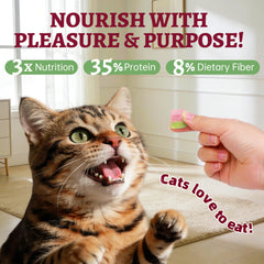 Just Try – chat dégustant la friandise pendant l’entraînement.