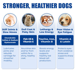 Just Try glucosamine articulations chien pour le confort des articulations.