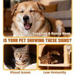 Just Try Poudre Lysine pour chats, doseur facile.
