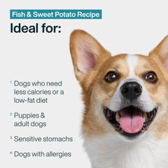 JustFoodForDogs ensemble sept repas congèles – commodité quotidienne
