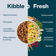 JustFoodForDogs aliments frais de qualité humaine, recettes approuvées pour chiens.