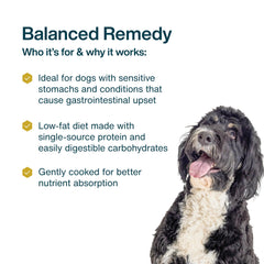 JustFoodForDogs Pantry Fresh texture moelleuse lors du repas