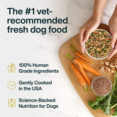 JustFoodForDogs Santé articulations – nourriture humide formulée pour soutenir la mobilité.