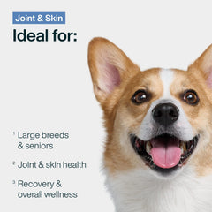 JustFoodForDogs Topper – mélange humide porc et quinoa, idéal pour varier les repas.