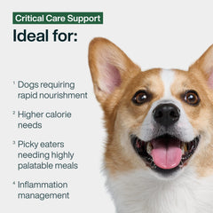 JustFoodForDogs Vet RX, ingredients limites frais, qualite humaine pour chien.
