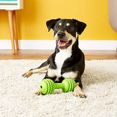 JW Pet Chompion bosses texturées pour dents, utile pendant le jeu