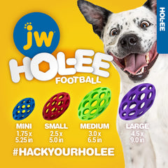 JW Pet Hol-ee Balle utilisé pour entraînement et enrichment mental