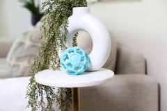 joliet JW Hol-ee Roller petit format adapté aux petites races et facile à lancer.