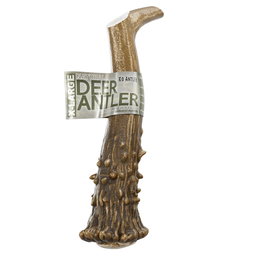 K-9 Antler Co. corne de cerf pour chien, taille extra-large, mastication durable et naturelle.