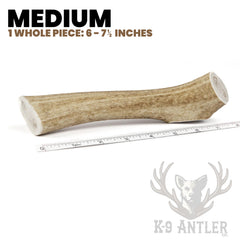 K-9 Antler Co. Cornes d elan entieres, surface robuste pour mastication sûre.