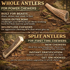 K-9 Antler Co. Cornes d'élan jumbo mastications naturelles: sans additifs chimiques.