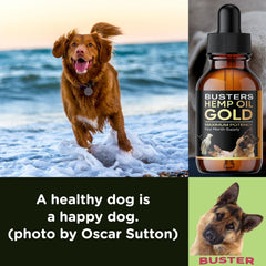 Ajout dans la nourriture avec Buster's Gold pour animaux