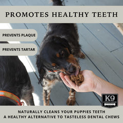 K9 Connoisseur, parfum naturel et texture tendre appréciée par les chiens.