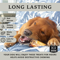 K9 Connoisseur chien-mord os-boeuf: démonstration de mastication longue et focalisée.