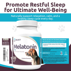 K9 Select Mélatonine : chews apaisants pour aider le chien à se détendre le soir.