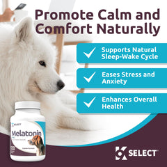 Friandises melatonine K9 Select beurre d arachide pour grand chien favorisant le calme