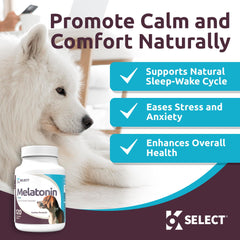 K9 Select Mélatonine : tablettes 3 mg, dosage pratique pour chiens de taille moyenne.