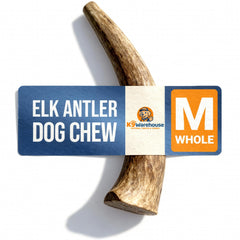 K9warehouse bois de cerf naturel, mordeur durable pour chien puissant.