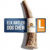 K9warehouse ramure cerf pour chien en train de mâcher durablement.