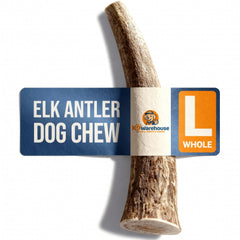 K9warehouse ramure cerf pour chien en train de mâcher durablement.
