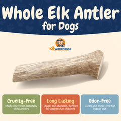 K9warehouse tranche de cerf naturel, texture dense pour chiens robustes.