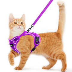 Kaazylab harnais-chat anti-sortie, sécurité renforcée lors des promenades.