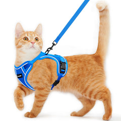 Harnais Kaazylab pour chat avec double couche, sécurité renforcée.