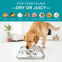 kactoily base ventouses 46 pour adhérence fiable sur surfaces lisses