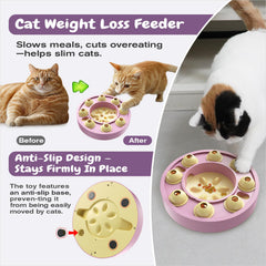 Chat utilisant le puzzle KADTC avec pattes et museau pour l’exploration.