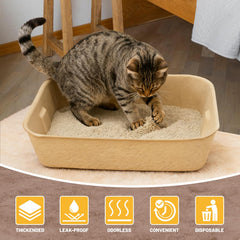 Solution légère et portable KAKKUE, idéal pour les déplacements.