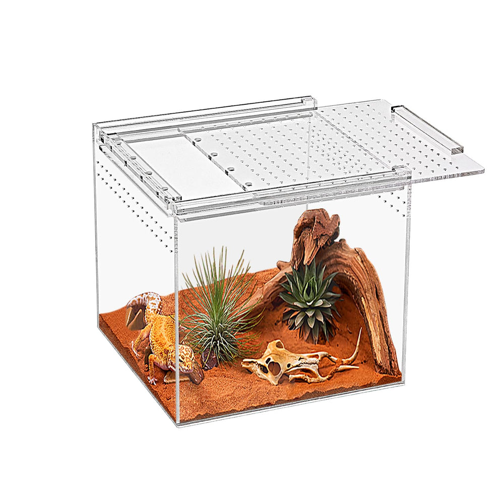 KAKOOTI terrarium réptile 6-8 pouces avec vue 360 pour observation claire