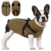 Manteau d'hiver pour chien avec harnais intégré Kama Bridal, chaleur et praticité en balade.