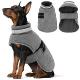 KAMA BRIDAL manteau hivernal chien petit, isolation légère pour sorties froides.