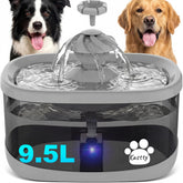 Kastty fontaine d'eau pour chien vue d'ensemble et hydratation fiable.