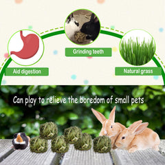 Balle herbe kathson pour cochon d’inde, activité ludique et mastication naturelle.