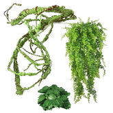 Kathson vignes jungle flexibles pour créer un décor naturel dans le terrarium.