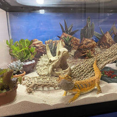 Kathson vignes flexibles pour terrarium, ajout naturel.