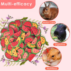 Moment d’interaction KATUMO avec hamster, renforçant le lien et réduisant l’ennui