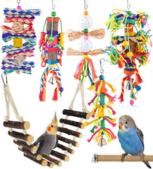 KATUMO jouets oiseaux — variété colorée stimulant l’attention et l’exploration.