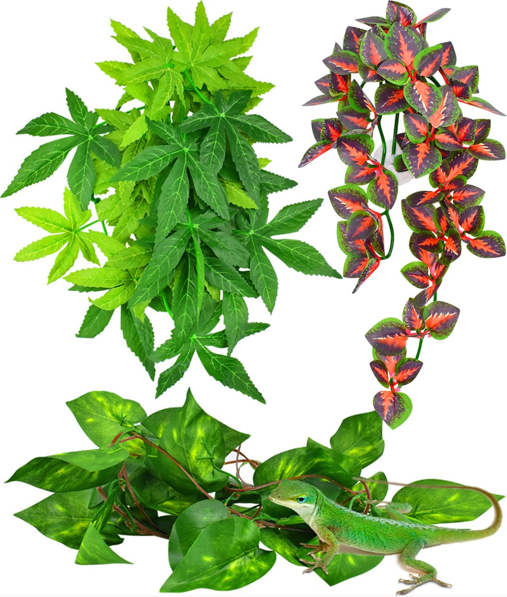 Plante suspendue rouge KATUMO pour terrarium, décor vivant et accueillant