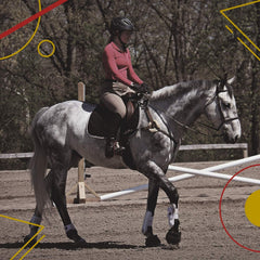 Bottes Kavallerie Aeroflex Protect Tendon, vue arrière, support et stabilité renforcés.